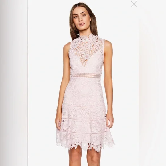 Bardot Dresses Nwt Bardot Elise Lace Dress In Washd Pink Sz